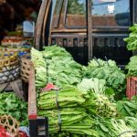 Harga Sayuran di Kota Jakarta Selatan Versi Kami